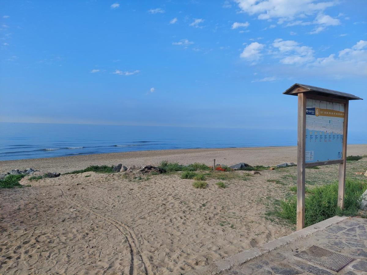 Casamare Lägenhet Torvaianica Exteriör bild